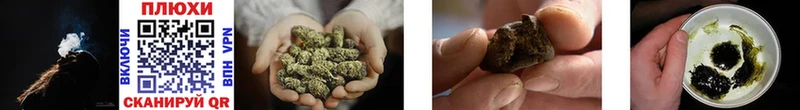 ГАШИШ Cannabis  где купить наркотик  Шуя 