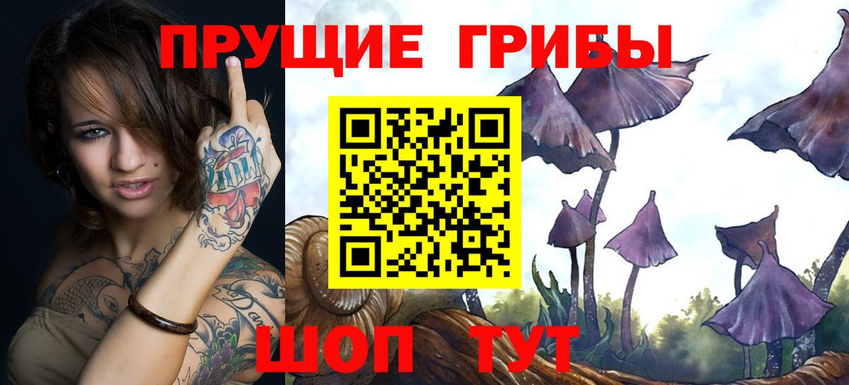 Галлюциногенные грибы Magic Shrooms Шуя