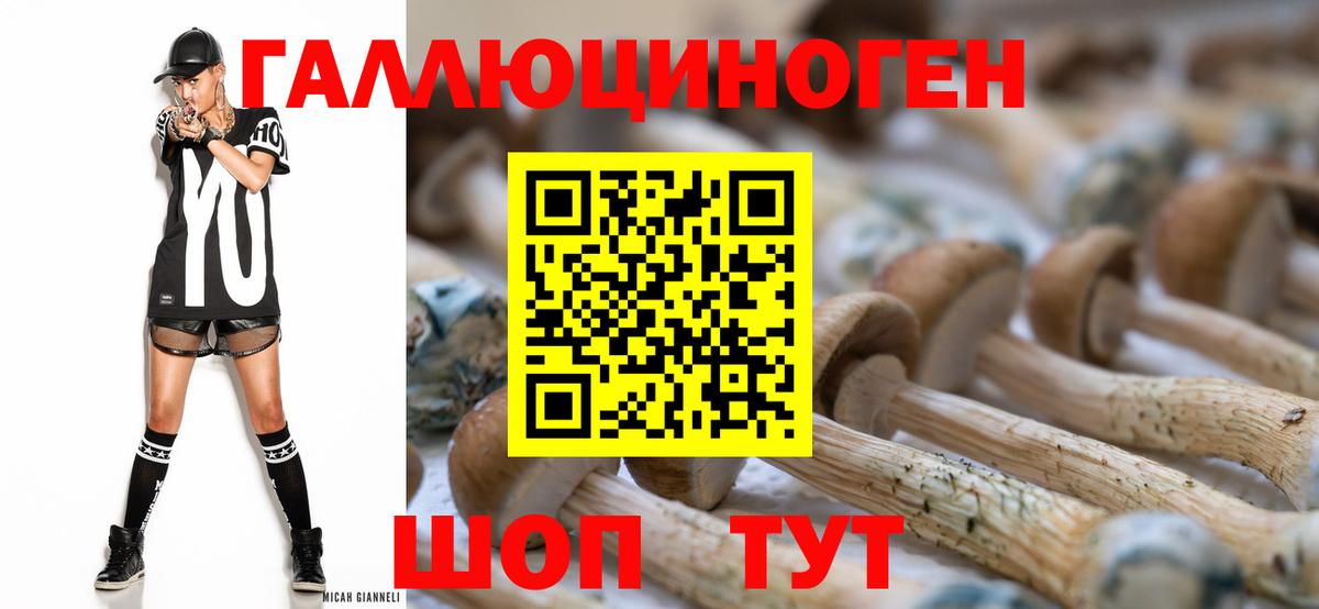 Шуя  Галлюциногенные грибы мухоморы  Вход с VPN 
